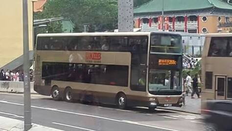 AMNE1 268C.jpg