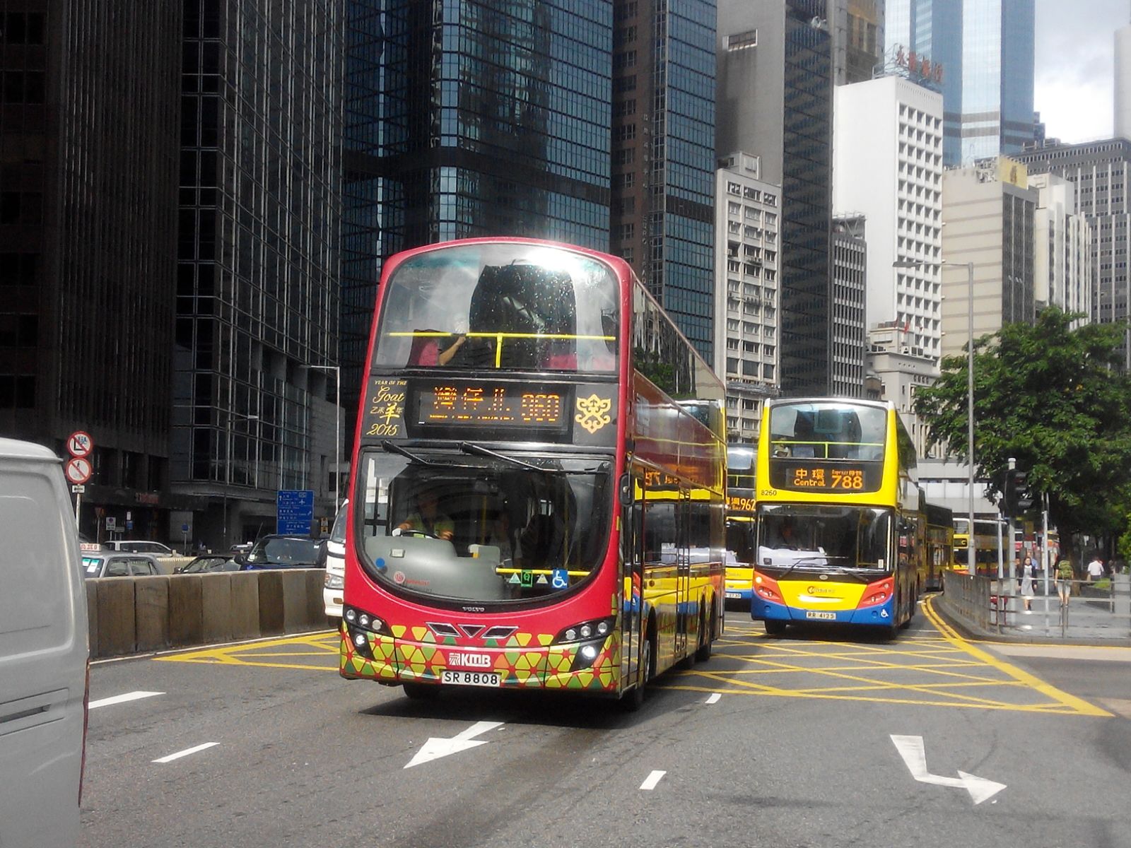 SR8808.jpg