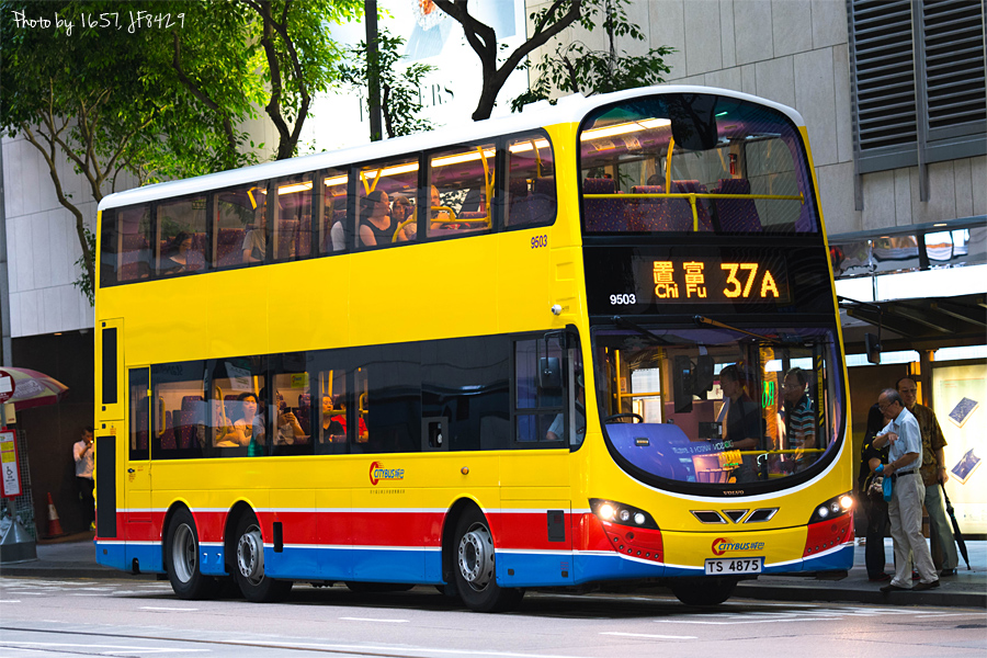 9503_37A.jpg