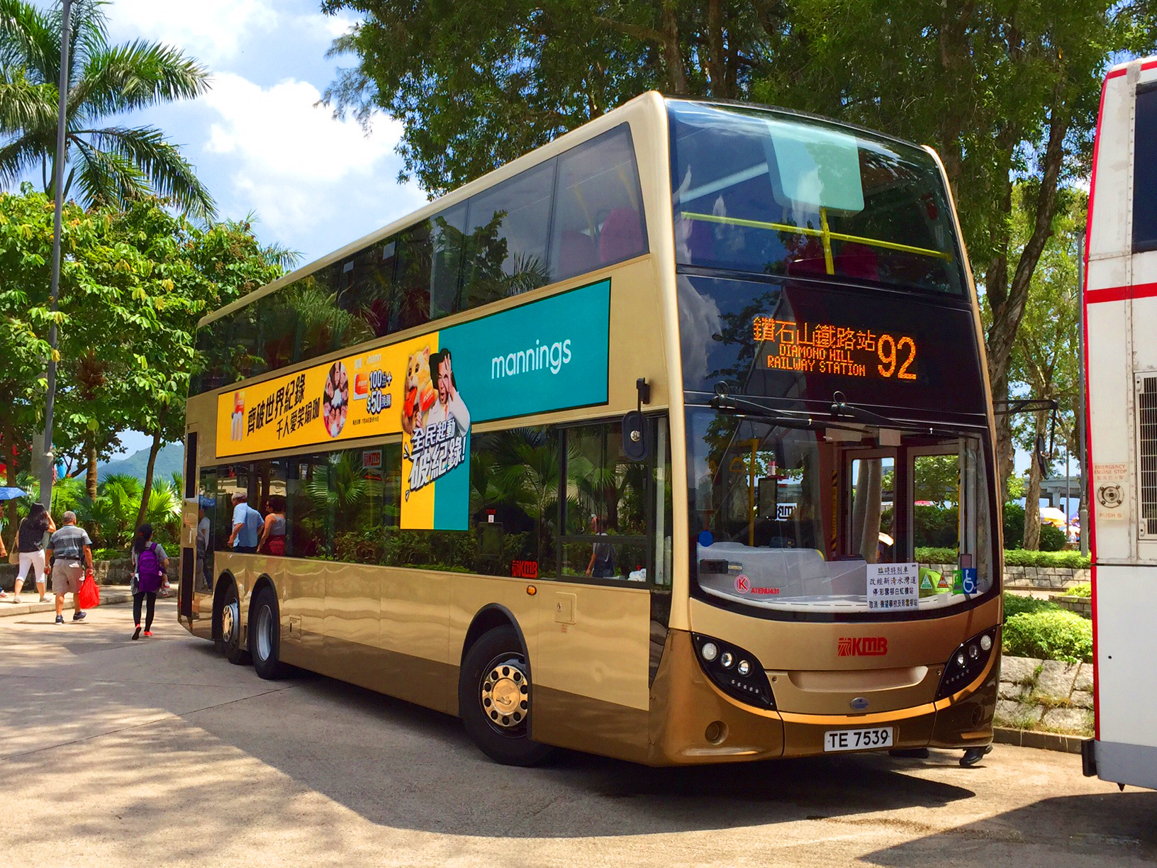 TE7539.jpg