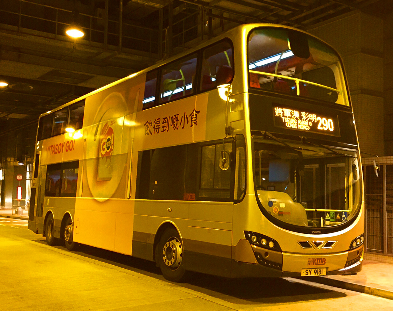 SY9181@290.jpg