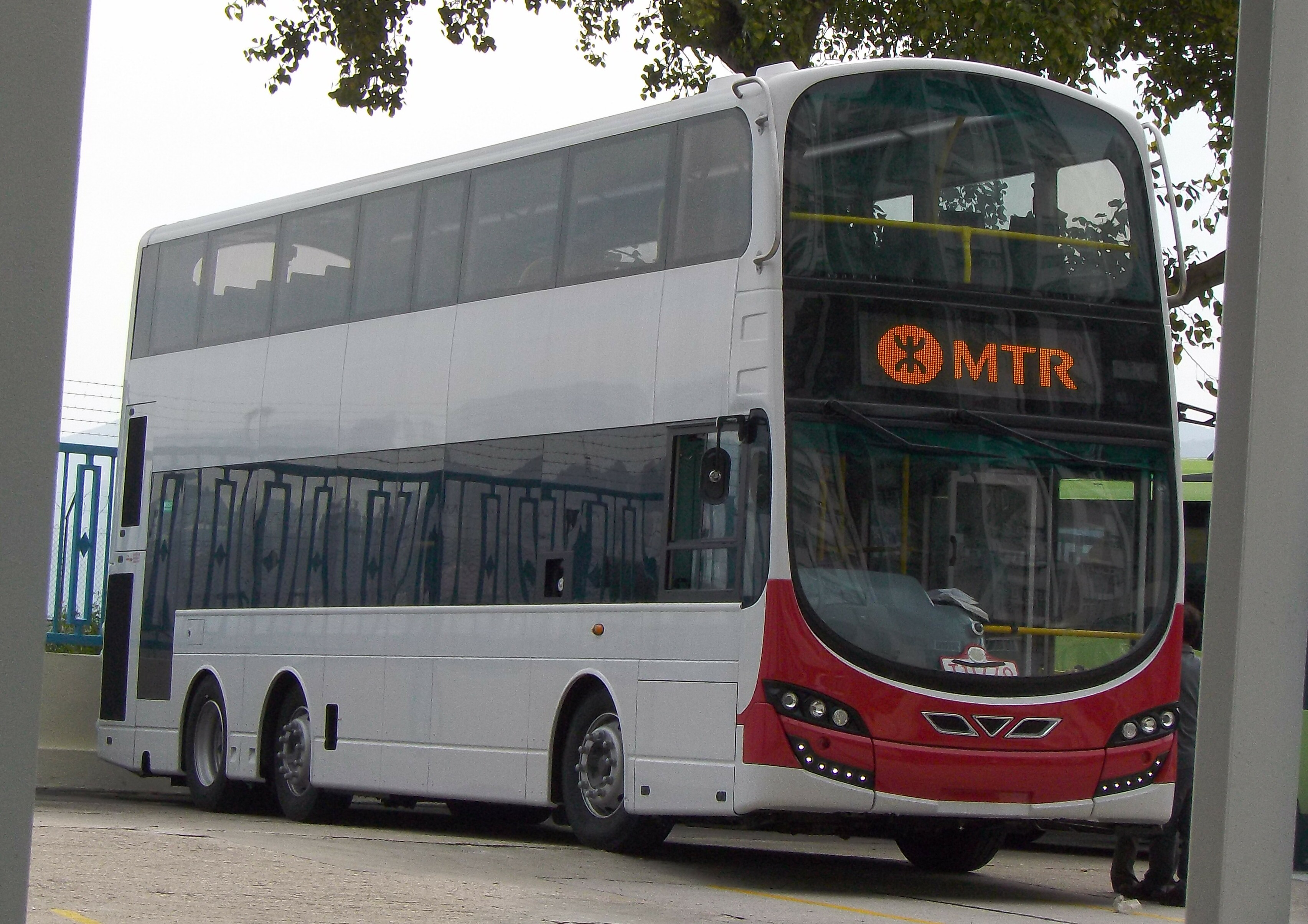IMGP5965_1.jpg