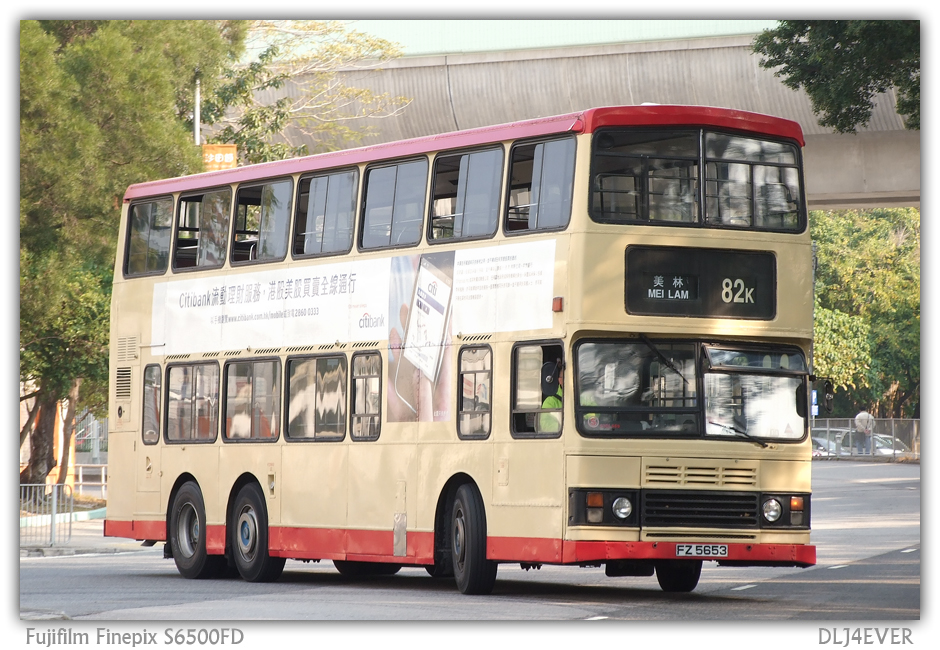FZ5653.jpg