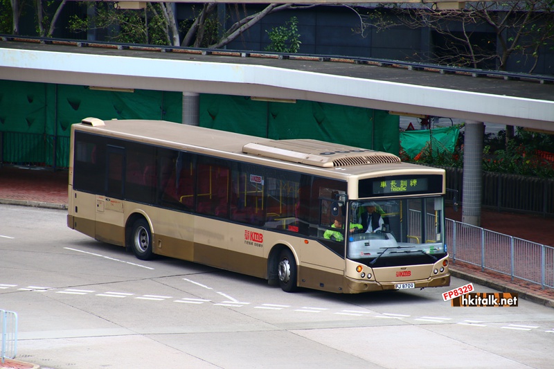 PJ8709 T.JPG
