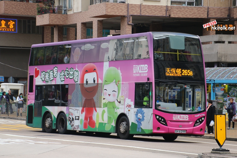 SH6299 265B.JPG