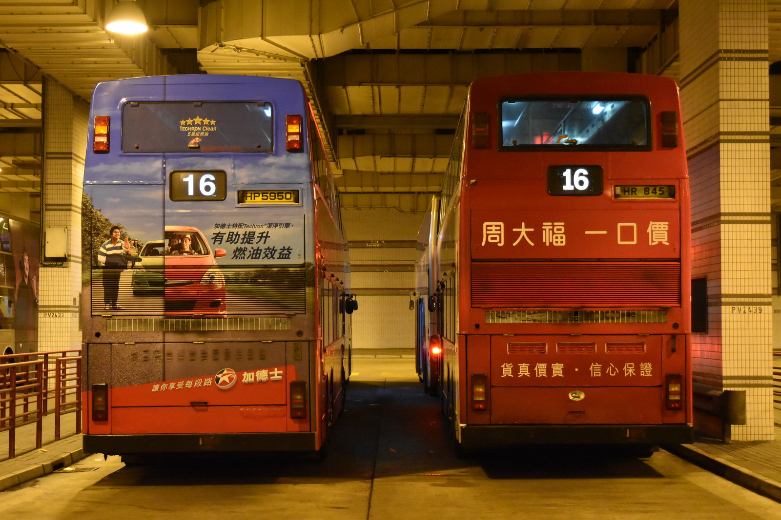 DSC_0754.JPG