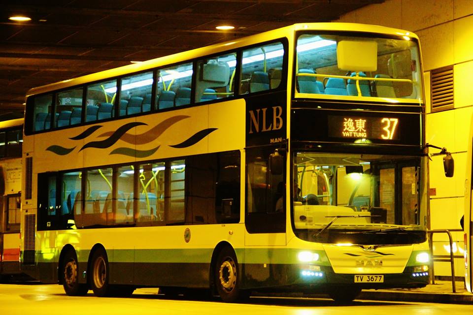 TV3677.jpg