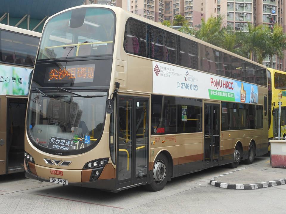 SP6991.jpg