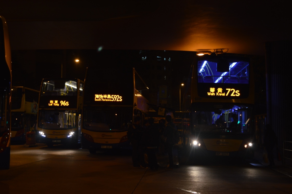 DSC_0240s.JPG