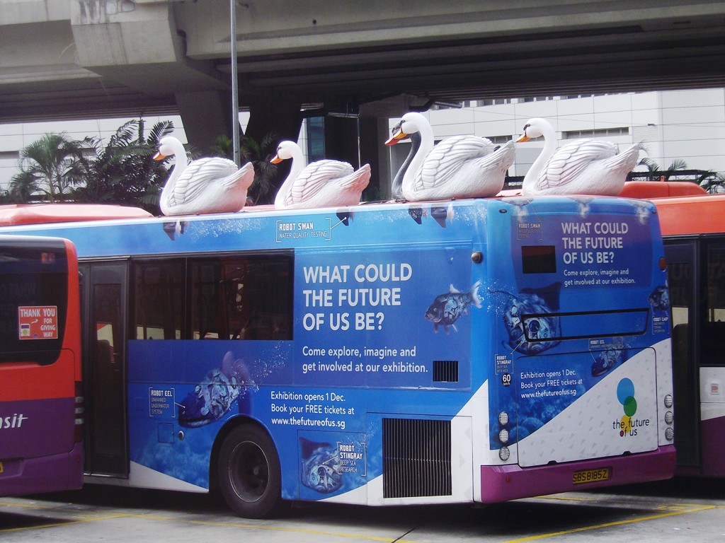 sbs8185z.JPG