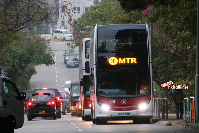 531.JPG