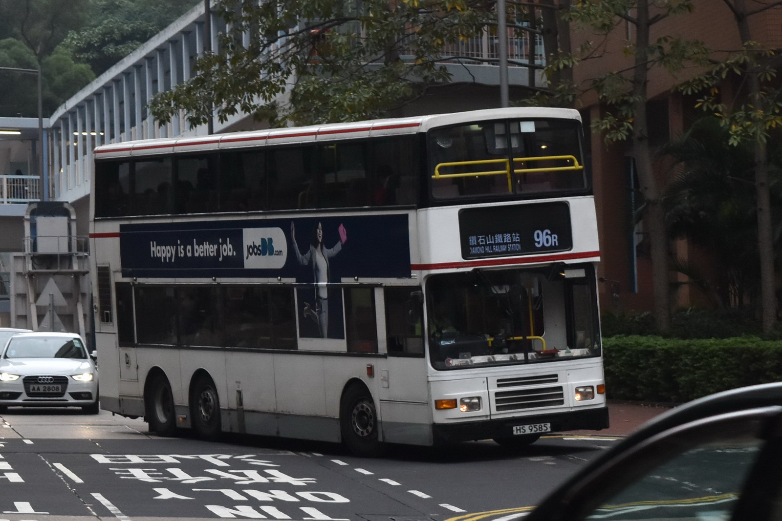 DSC_0157.jpg