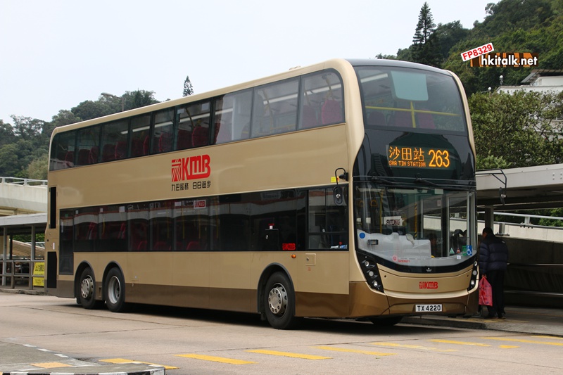263 2.JPG