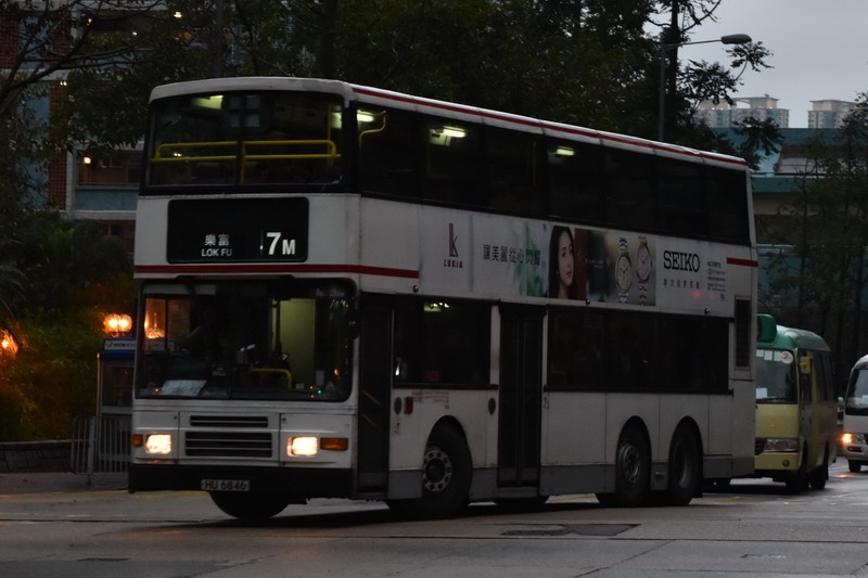 DSC_0695_resize.jpg