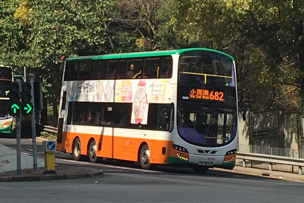image.jpeg