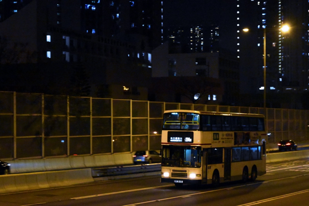 DSC_0590_resize.jpg