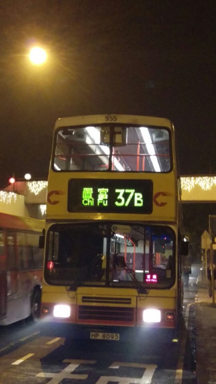 955.jpg