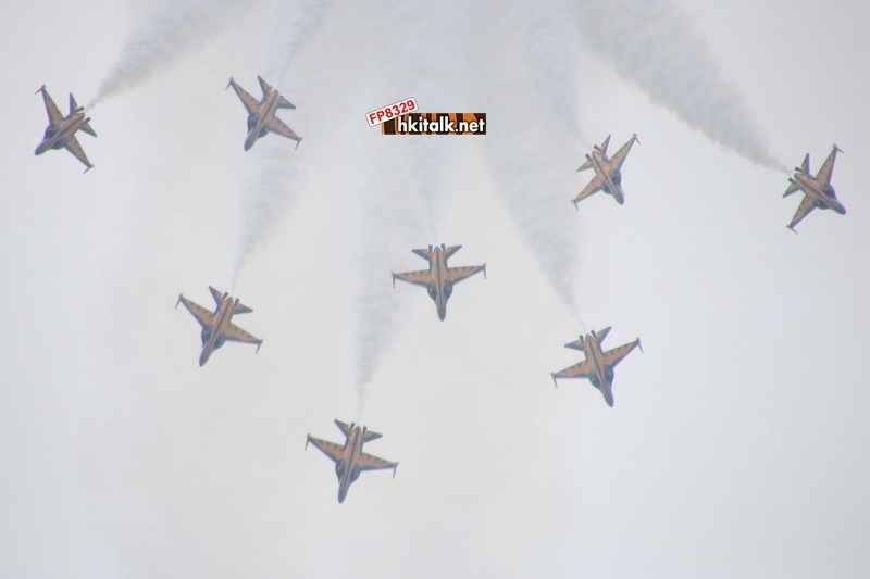 07 Black Eagles Aerobatic Team.JPG