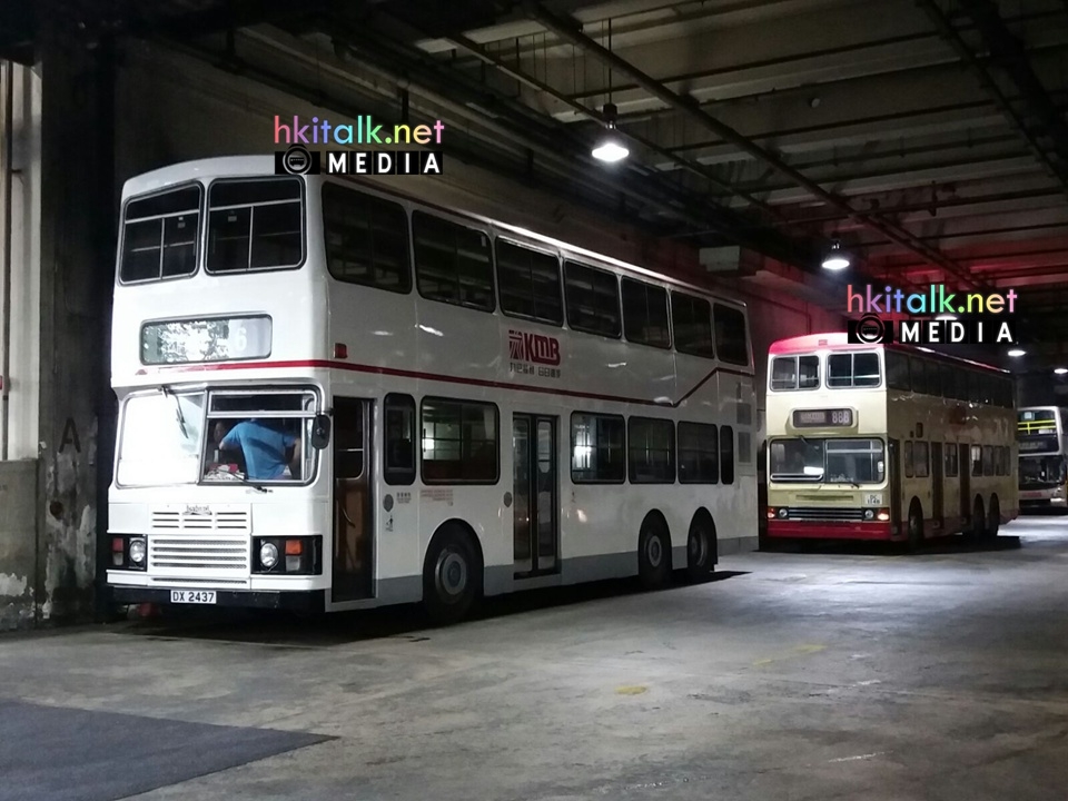 DX2437 A.jpg