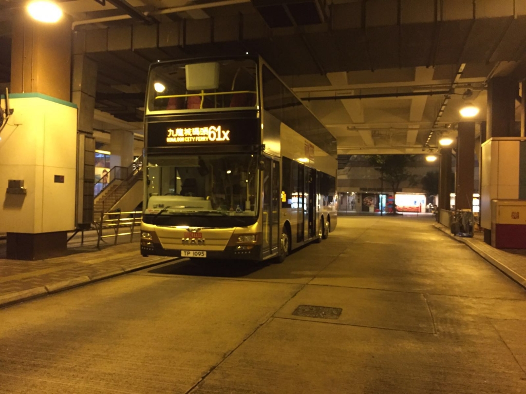 AMNE1 61X 1.jpg