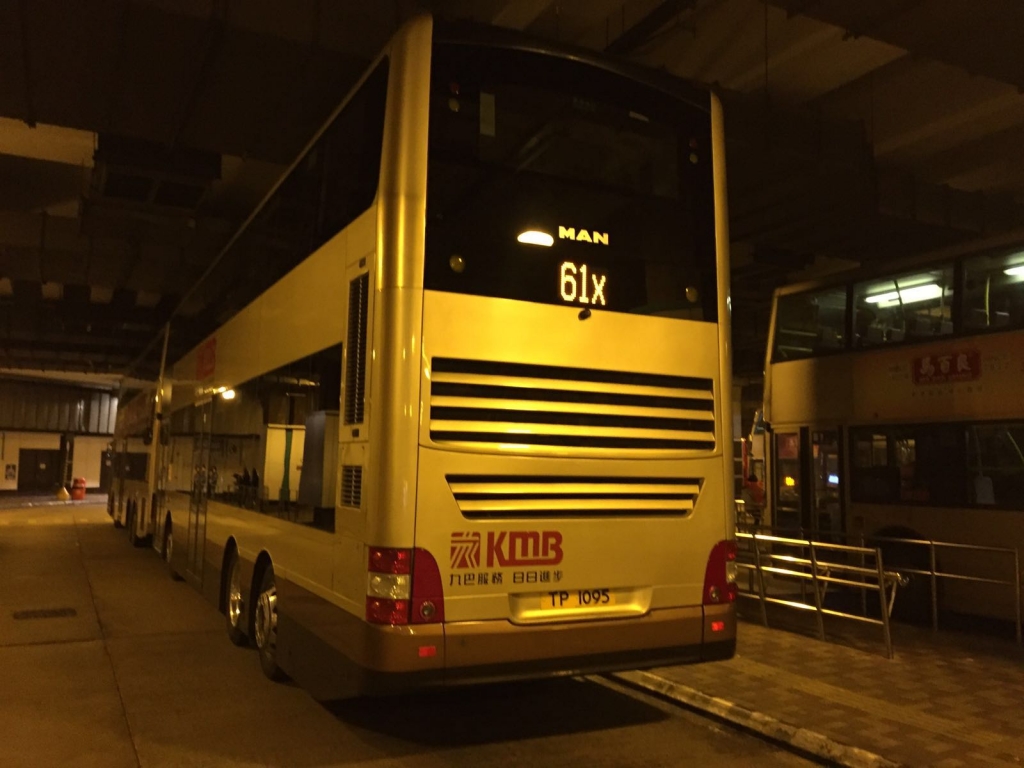 AMNE1 61X 2.jpg