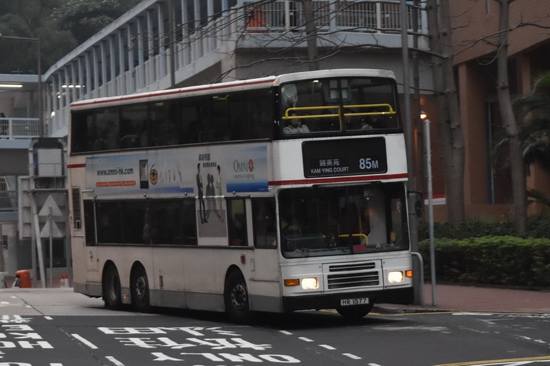 DSC_0602_resize.jpg