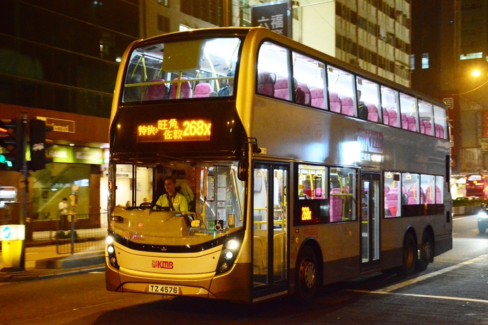TZ4576.JPG
