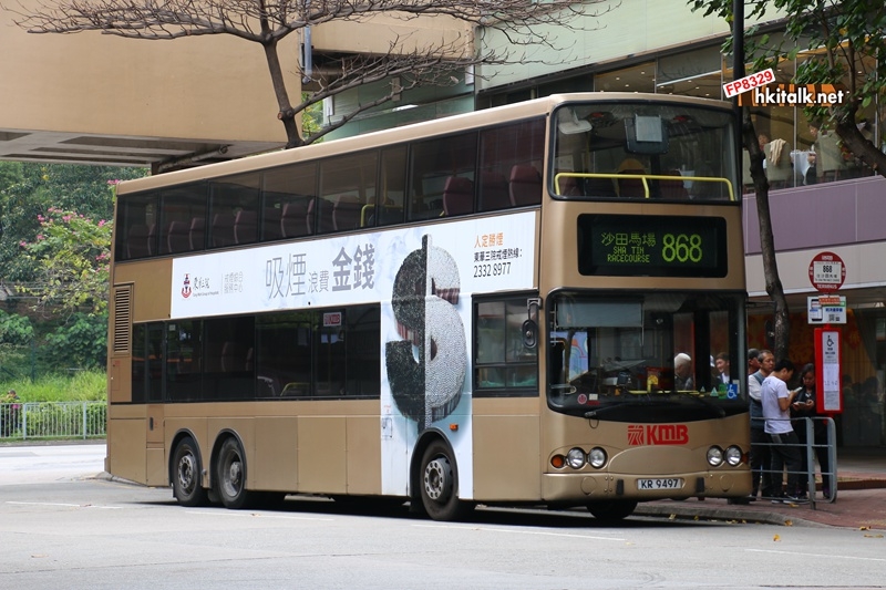 AMN46 868.JPG
