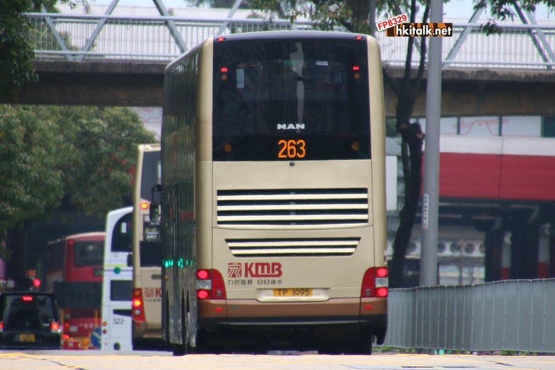 AMNE1 263 3.JPG