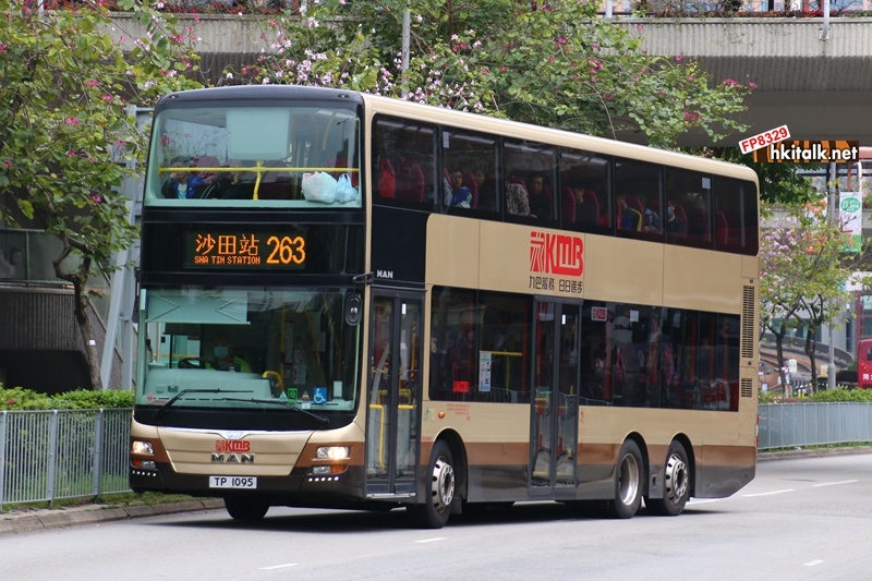 AMNE1 263 1.JPG