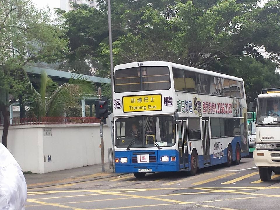 T181.jpg