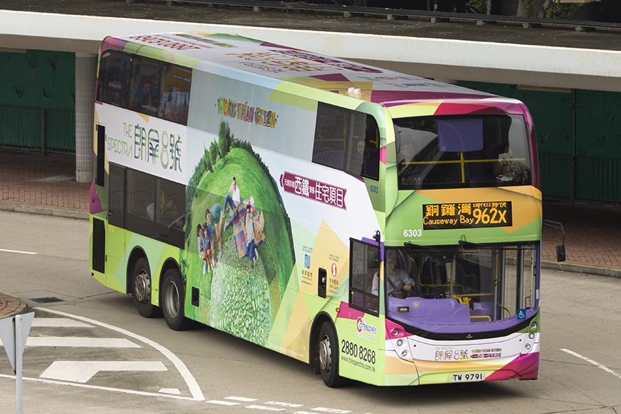6303.jpg