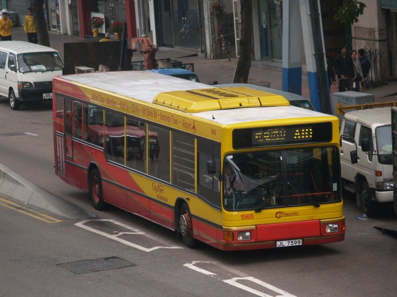 c_1565_1.jpg