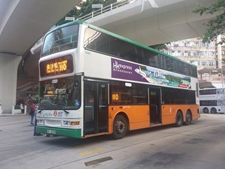 3006110.jpg