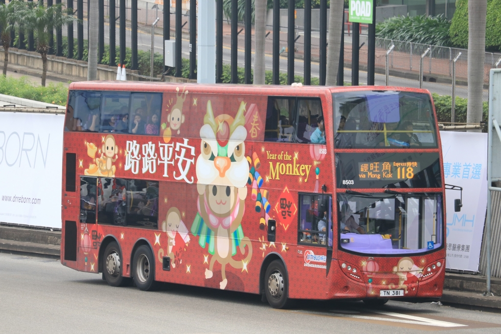 C8503 TN381.JPG