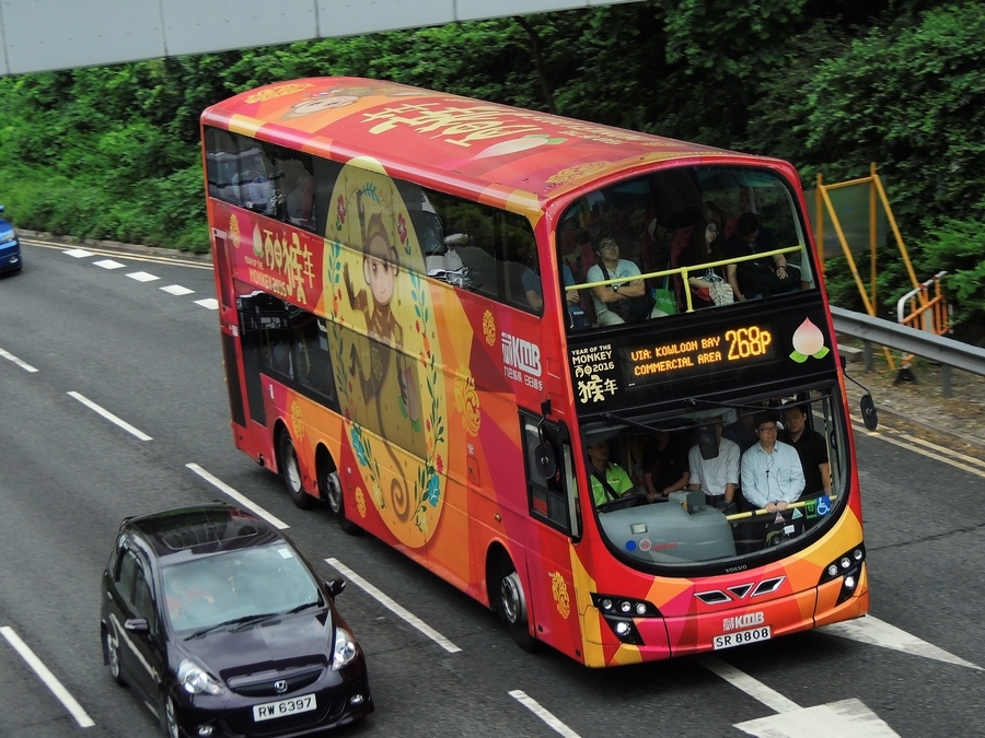 SR8808-1.jpg