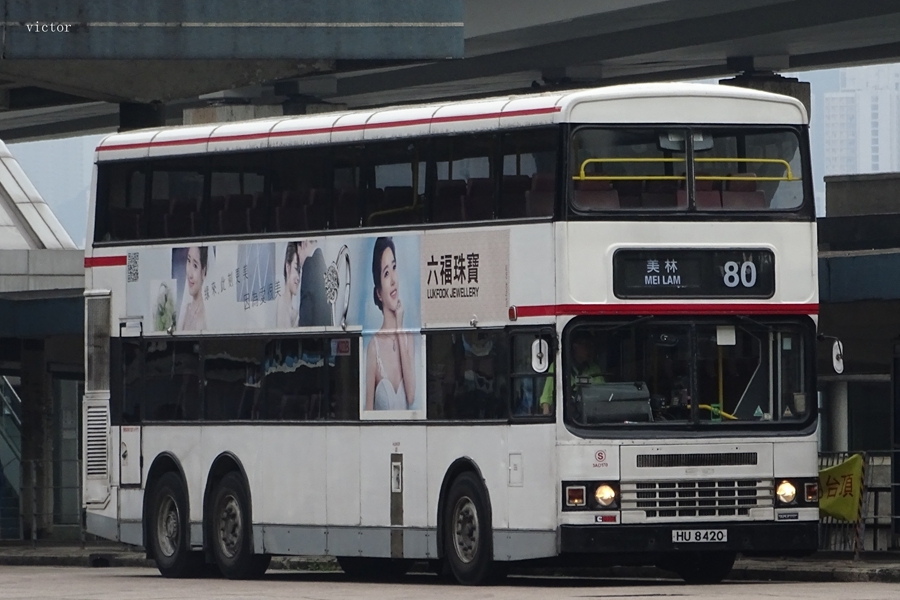 DSC06951_副本.jpg
