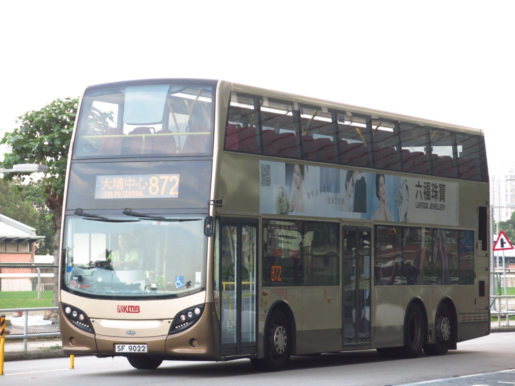 IMG_4462.JPG