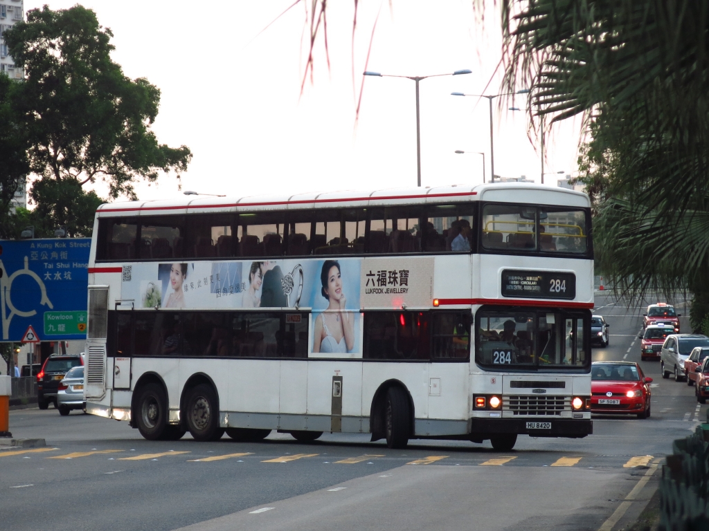 IMG_4937.JPG