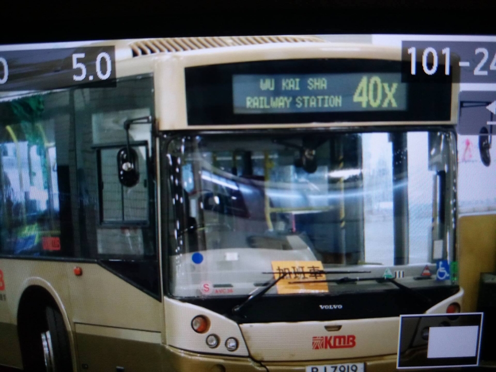40X AVC 1.jpg