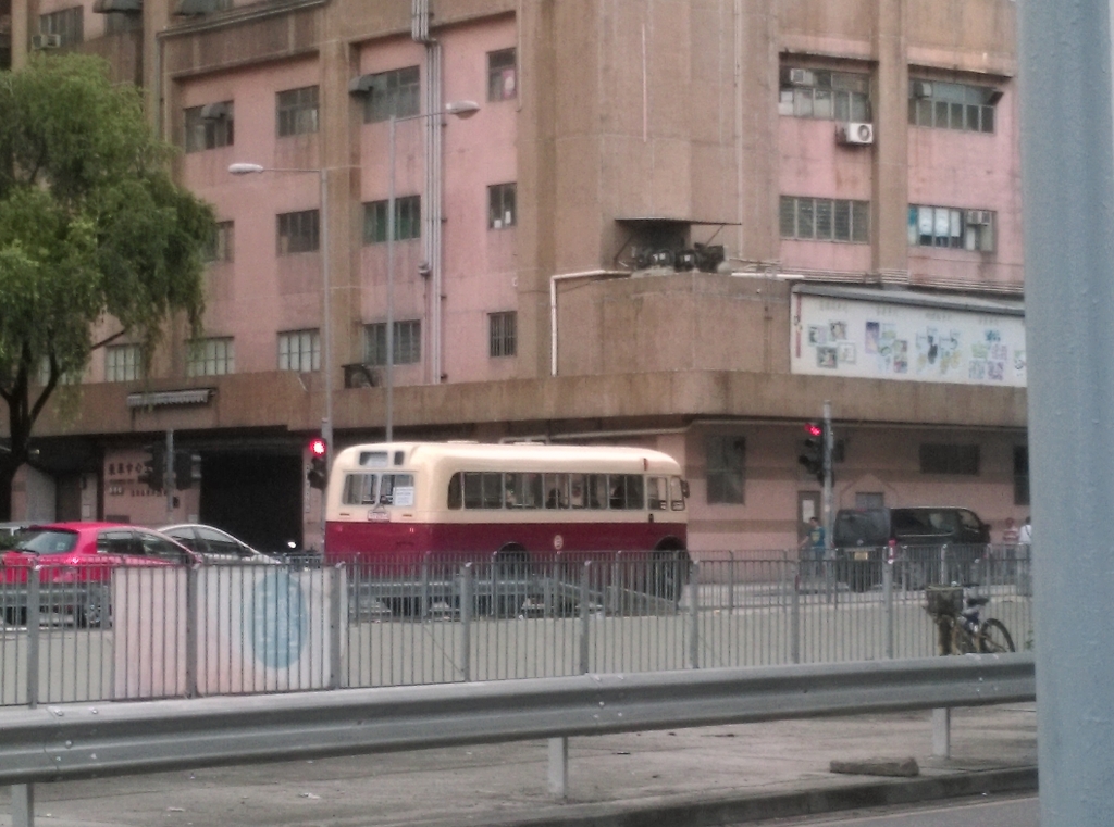 IMAG1004.jpg