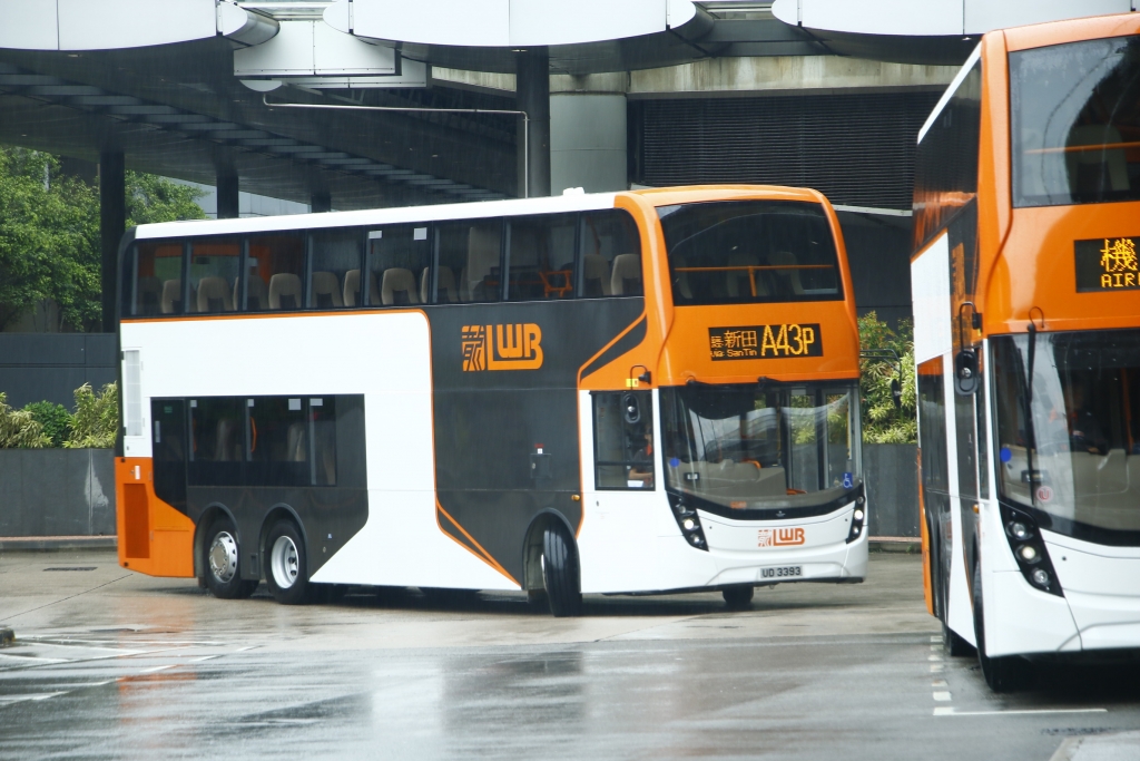 _MG_3982.JPG