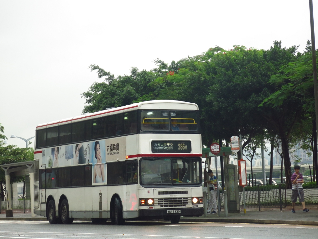 IMG_5935.JPG