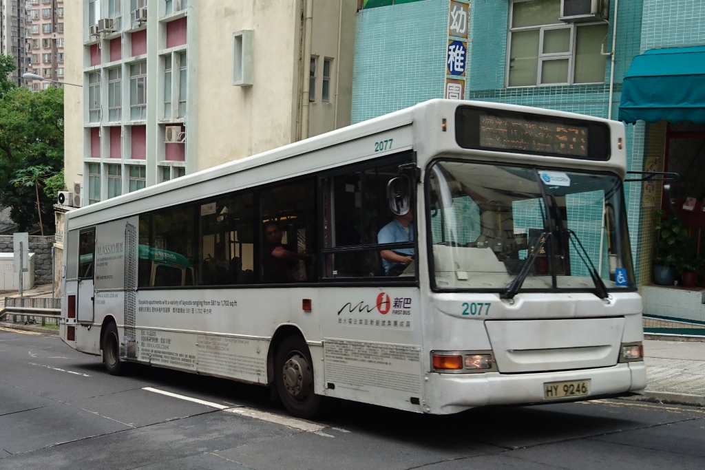 DSC_07532.jpg