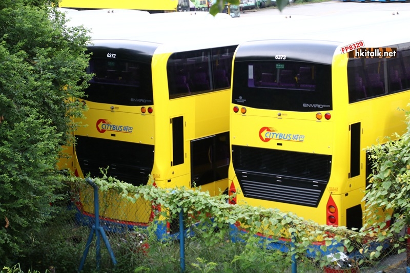 Newbus 3Jul16 3.JPG