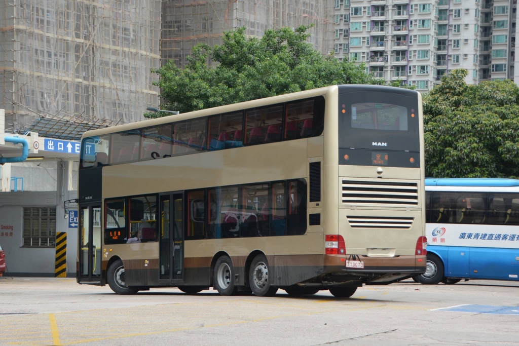 AMNE2 F.jpg