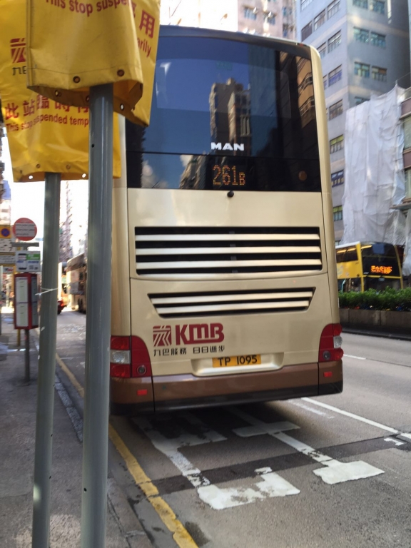 TP1095 261B C.jpg