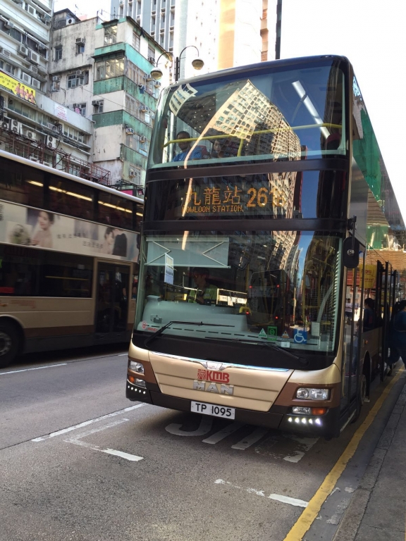TP1095 261B B.jpg