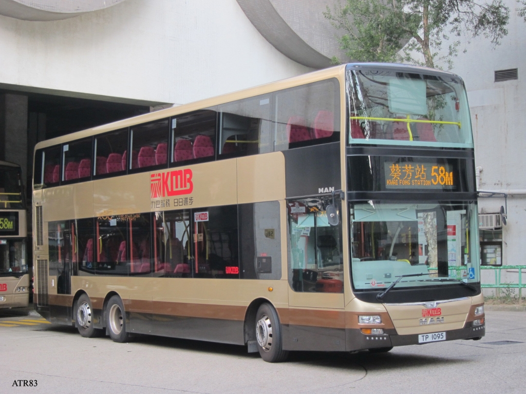 AMNE1-58M.jpg