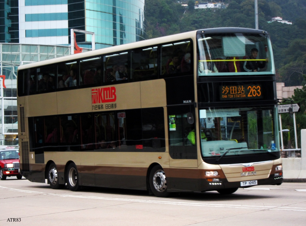AMNE1-263_2.jpg
